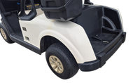 Thumbnail for EZGO RXV FLEET