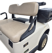 Thumbnail for EZGO RXV FLEET
