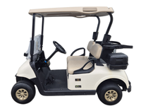 Thumbnail for EZGO RXV FLEET