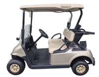 Thumbnail for EZGO RXV FLEET