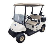 Thumbnail for EZGO RXV FLEET
